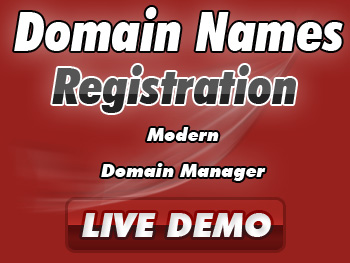 Budget domain registration service providers